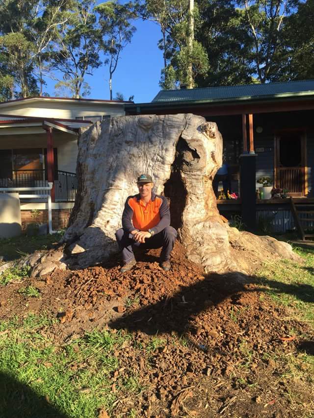 Stump Grinding Central Coast Services