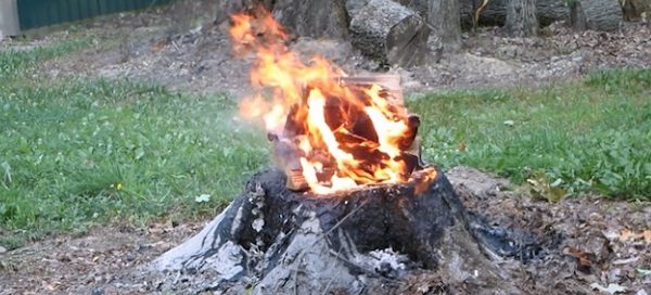 How to remove a tree stump by fire and charcoal