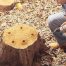 How To Remove A Tree Stump Naturally